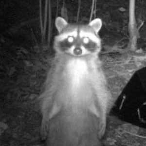 Meet your Posher, Katelynn